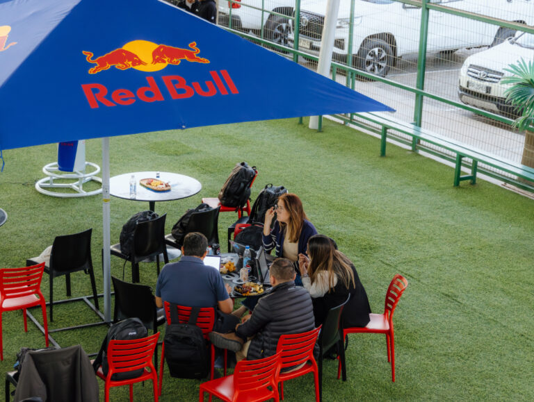 REDBULL 02 768x579